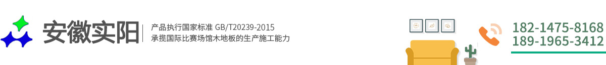 安徽實陽體育設施工程有限公司